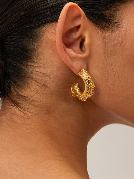 Shyla Hoop Earrings